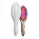 ARTISTIC&Co High Line Brush LED-щетка для волос (белая), 1 шт