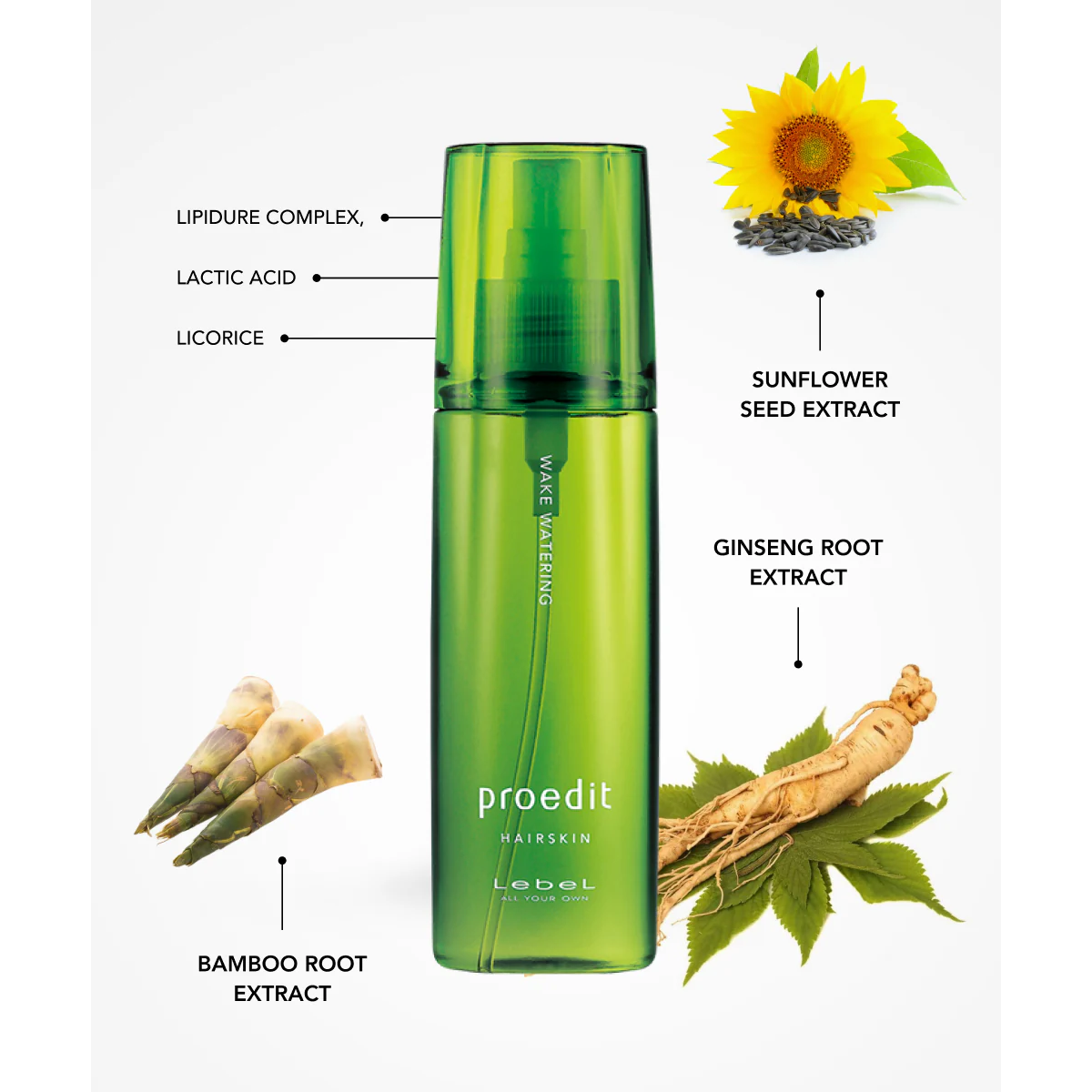 LEBEL Proedit Hairskin Wake Watering тонизирующий спрей для склонной к жирности кожи головы 120 мл