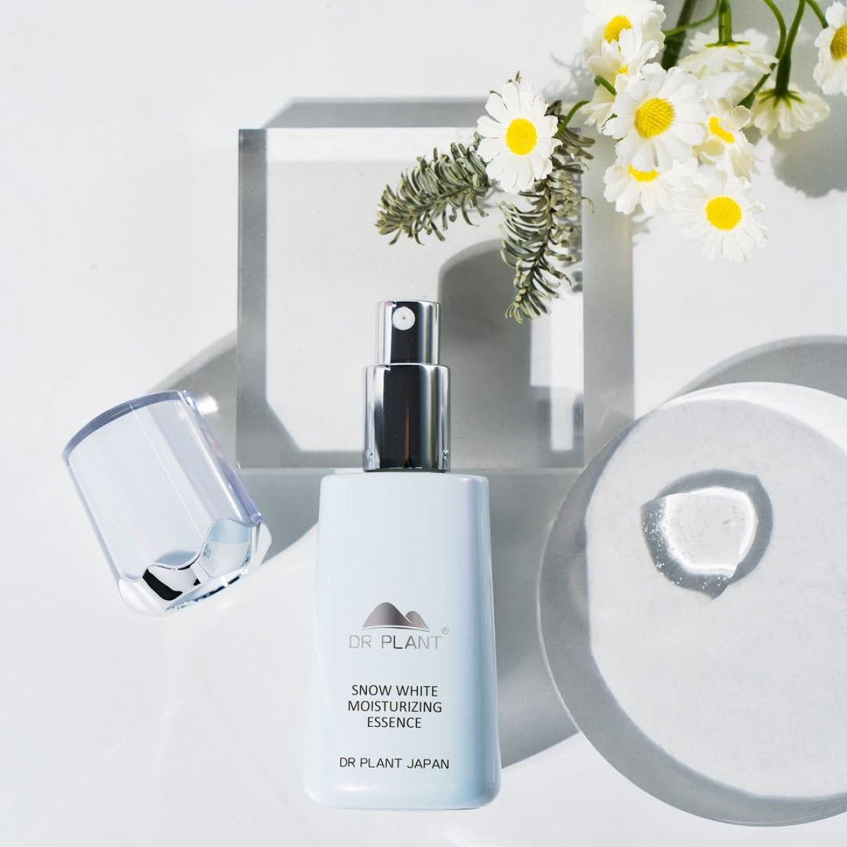 DR.PLANT Snow White Moisturizing Essence зволожуюча есенція для сяйва шкіри обличчя, 40 мл