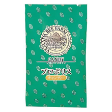 Yamada Bee Farm Propolis Candy льодяники з екстрактом прополісу, 100 г