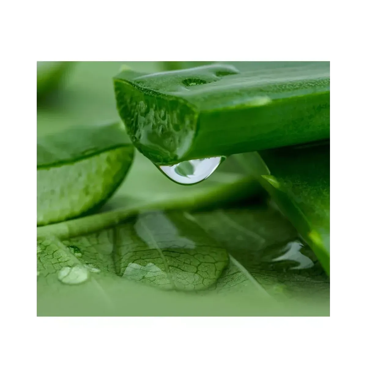 LULULUN Premium Face Mask Okinawa Aloe успокаивающая маска с экстрактом алоэ, 1 шт