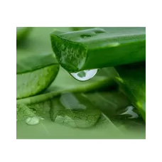 LULULUN Premium Face Mask Okinawa Aloe заспокійлива маска з екстрактом алое, 1 шт