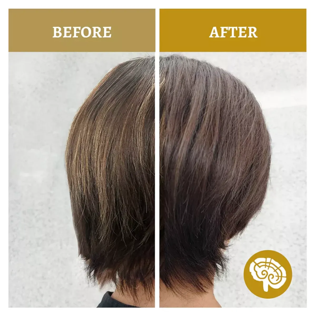 SH-RD Reishi Volumizing Shampoo професійний шампунь для обʼєму на основі рейші, 200 мл